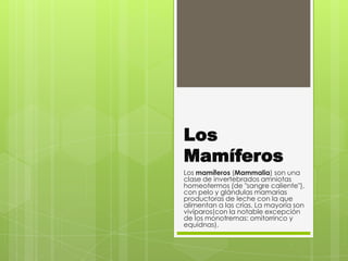 Los
Mamíferos
Los mamíferos (Mammalia) son una
clase de invertebrados amniotas
homeotermos (de "sangre caliente"),
con pelo y glándulas mamarias
productoras de leche con la que
alimentan a las crías. La mayoría son
vivíparos(con la notable excepción
de los monotremas: omitorrinco y
equidnas).
 