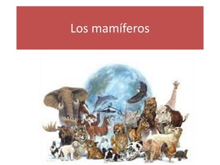 Los mamíferos
 
