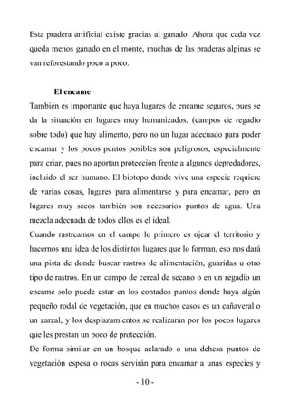 Esta pradera artificial existe gracias al ganado. Ahora que cada vez
queda menos ganado en el monte, muchas de las praderas alpinas se
van reforestando poco a poco.


       El encame
También es importante que haya lugares de encame seguros, pues se
da la situación en lugares muy humanizados, (campos de regadío
sobre todo) que hay alimento, pero no un lugar adecuado para poder
encamar y los pocos puntos posibles son peligrosos, especialmente
para criar, pues no aportan protección frente a algunos depredadores,
incluido el ser humano. El biotopo donde vive una especie requiere
de varias cosas, lugares para alimentarse y para encamar, pero en
lugares muy secos también son necesarios puntos de agua. Una
mezcla adecuada de todos ellos es el ideal.
Cuando rastreamos en el campo lo primero es ojear el territorio y
hacernos una idea de los distintos lugares que lo forman, eso nos dará
una pista de donde buscar rastros de alimentación, guaridas u otro
tipo de rastros. En un campo de cereal de secano o en un regadío un
encame solo puede estar en los contados puntos donde haya algún
pequeño rodal de vegetación, que en muchos casos es un cañaveral o
un zarzal, y los desplazamientos se realizarán por los pocos lugares
que les prestan un poco de protección.
De forma similar en un bosque aclarado o una dehesa puntos de
vegetación espesa o rocas servirán para encamar a unas especies y

                                - 10 -
 