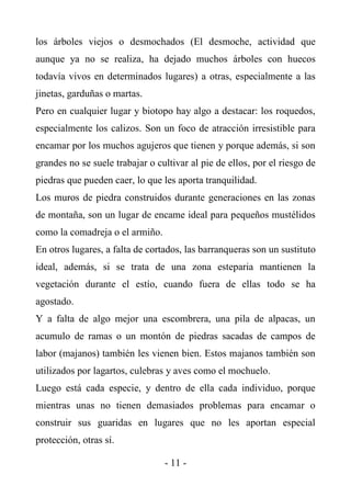 los árboles viejos o desmochados (El desmoche, actividad que
aunque ya no se realiza, ha dejado muchos árboles con huecos
todavía vivos en determinados lugares) a otras, especialmente a las
jinetas, garduñas o martas.
Pero en cualquier lugar y biotopo hay algo a destacar: los roquedos,
especialmente los calizos. Son un foco de atracción irresistible para
encamar por los muchos agujeros que tienen y porque además, si son
grandes no se suele trabajar o cultivar al pie de ellos, por el riesgo de
piedras que pueden caer, lo que les aporta tranquilidad.
Los muros de piedra construidos durante generaciones en las zonas
de montaña, son un lugar de encame ideal para pequeños mustélidos
como la comadreja o el armiño.
En otros lugares, a falta de cortados, las barranqueras son un sustituto
ideal, además, si se trata de una zona esteparia mantienen la
vegetación durante el estío, cuando fuera de ellas todo se ha
agostado.
Y a falta de algo mejor una escombrera, una pila de alpacas, un
acumulo de ramas o un montón de piedras sacadas de campos de
labor (majanos) también les vienen bien. Estos majanos también son
utilizados por lagartos, culebras y aves como el mochuelo.
Luego está cada especie, y dentro de ella cada individuo, porque
mientras unas no tienen demasiados problemas para encamar o
construir sus guaridas en lugares que no les aportan especial
protección, otras sí.

                                 - 11 -
 