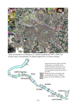 Citas de mamíferos en Zaragoza (5ª capital española) de 1997 a 2010. Las
 flechas rojas corresponden a la última adquisición: el Castor europeo
                                     1
                                     1
                                2
                            2 3                                Esquema del tramo urbano del Ebro
                             4-5-6                             en Zaragoza y resultados de un
                        7
                                                               trabajo específico de nutria de tres
                                                               transectos de unas dos horas cada
                                                               uno realizados a principios de marzo
         EXPO Ranillas                                         de 2009.
     9                                                  Nutria Hasta esta fecha solo habían sido
28                    26                   Actur        Tejón localizadas dos citas en 2008 y 1
         10   1
                    27 25 24                            Jineta
                                23                      Zorro aguas arriba del Gállego en 2004.
                  Almozara 22                           Erizo
                                         21
                                          20


                                                           29    Arrabal
                                                   19           31
                                                              30

                                                   El Pilar
                                                                     11
                                                                               17               Vadorrey
                                                                          12
                                                                               13               18
                                                                                 14
                                                                                      15
                                                                                           16

                                                                               Las Fuentes
                                                   -3-
 