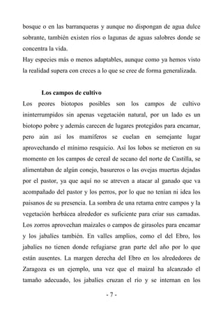 bosque o en las barranqueras y aunque no dispongan de agua dulce
sobrante, también existen ríos o lagunas de aguas salobres donde se
concentra la vida.
Hay especies más o menos adaptables, aunque como ya hemos visto
la realidad supera con creces a lo que se cree de forma generalizada.


       Los campos de cultivo
Los peores biotopos posibles son los campos de cultivo
ininterrumpidos sin apenas vegetación natural, por un lado es un
biotopo pobre y además carecen de lugares protegidos para encamar,
pero aún así los mamíferos se cuelan en semejante lugar
aprovechando el mínimo resquicio. Así los lobos se metieron en su
momento en los campos de cereal de secano del norte de Castilla, se
alimentaban de algún conejo, basureros o las ovejas muertas dejadas
por el pastor, ya que aquí no se atreven a atacar al ganado que va
acompañado del pastor y los perros, por lo que no tenían ni idea los
paisanos de su presencia. La sombra de una retama entre campos y la
vegetación herbácea alrededor es suficiente para criar sus camadas.
Los zorros aprovechan maizales o campos de girasoles para encamar
y los jabalíes también. En valles amplios, como el del Ebro, los
jabalíes no tienen donde refugiarse gran parte del año por lo que
están ausentes. La margen derecha del Ebro en los alrededores de
Zaragoza es un ejemplo, una vez que el maizal ha alcanzado el
tamaño adecuado, los jabalíes cruzan el río y se internan en los

                                 -7-
 