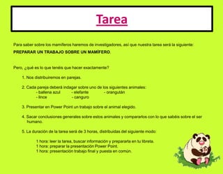 TareaPara saber sobre los mamíferos haremos de investigadores, así que nuestra tarea será la siguiente: PREPARAR UN TRABAJO SOBRE UN MAMÍFERO. Pero, ¿qué es lo que tenéis que hacer exactamente?	1. Nos distribuiremos en parejas.	2. Cada pareja deberá indagar sobre uno de los siguientes animales: 	- ballena azul          - elefante	- orangután		- lince                      - canguro	3. Presentar en Power Point un trabajo sobre el animal elegido.	4. Sacar conclusiones generales sobre estos animales y compararlos con lo que sabéis sobre el ser                humano. 	5. La duración de la tarea será de 3 horas, distribuidas del siguiente modo: 	1 hora: leer la tarea, buscar información y prepararla en tu libreta.	1 hora: preparar la presentación Power Point.	1 hora: presentación trabajo final y puesta en común.  