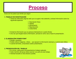 ProcesoEstos son los pasos que tenéis que seguir: 1. TRABAJO DE INVESTIGACIÓN Visitad las diferentes páginas web que os sugiero más adelante y extraed información sobre los                     siguientes aspectos: Descripción física  Hábitat  Alimentación  Reproducción  Costumbres	 Anotad la información que os parezca interesante en vuestra libreta. 	 Una vez que tengáis toda la información, pensad en cómo vais a hacer la presentación. 2. ELABORACIÓN POWER POINT	 Simple y atractiva.	 Podéis utilizar imágenes, vídeos… que apoyen la información (siempre y cuando sean útiles). 	 Cuando terminéis, comprobad vuestra presentación.3. PRESENTACIÓN DEL TRABAJO	 En turnos, cada grupo irá presentando el trabajo realizado. 	 Cada miembro del grupo debe exponer una parte de ese trabajo.		 Intentad hacedlo lo más atractivo posible.  