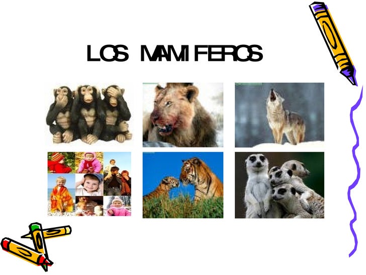 download Singular sets of minimizers for the Mumford Shah functional 2005 download