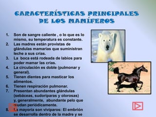 1.   Son de sangre caliente , o lo que es lo
     mismo, su temperatura es constante.
2.   Las madres están provistas de
     glándulas mamarias que suministran
     leche a sus crías.
3.   La boca está rodeada de labios para
     poder mamar las crías.
4.   La circulación es doble (pulmonar y
     general).
5.   Tienen dientes para masticar los
     alimentos.
6.   Tienen respiración pulmonar.
7.   Presentan abundantes glándulas
     (sebáceas, sudoríparas y olorosas)
     y, generalmente, abundante pelo que
     mudan periódicamente.
8.   La mayoría son vivíparos: El embrión
     se desarrolla dentro de la madre y se
 