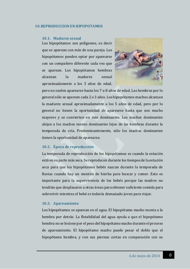 Los Mamiferos