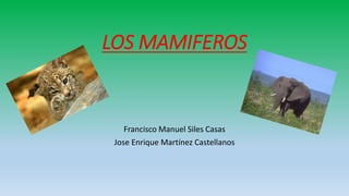 LOS MAMIFEROS
Francisco Manuel Siles Casas
Jose Enrique Martínez Castellanos