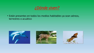 ¿Dónde viven?
• Están presentes en todos los medios habitables ya sean aéreos,
terrestres o acuático
 