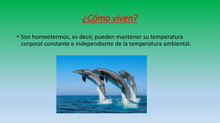 ¿Cómo viven?
• Son homeotermos, es decir, pueden mantener su temperatura
corporal constante e independiente de la temperatura ambiental.
 