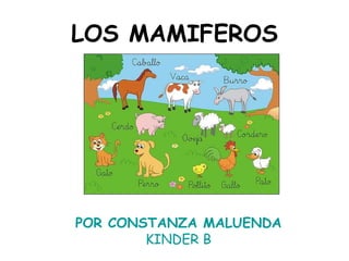 LOS MAMIFEROS POR CONSTANZA MALUENDA KINDER B 