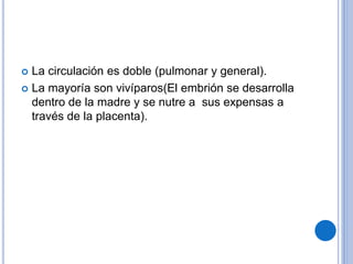  La circulación es doble (pulmonar y general).
 La mayoría son vivíparos(El embrión se desarrolla
dentro de la madre y se nutre a sus expensas a
través de la placenta).
 