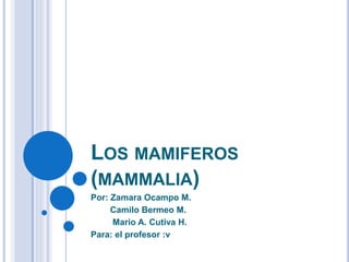 LOS MAMIFEROS
(MAMMALIA)
Por: Zamara Ocampo M.
Camilo Bermeo M.
Mario A. Cutiva H.
Para: el profesor :v
 