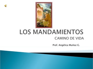 CAMINO DE VIDA Prof. Angélica Muñoz G.  