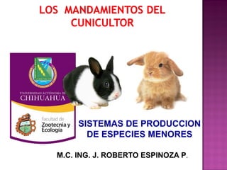SISTEMAS DE PRODUCCION
DE ESPECIES MENORES
M.C. ING. J. ROBERTO ESPINOZA P.
 
