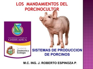 SISTEMAS DE PRODUCCION
DE PORCINOS
M.C. ING. J. ROBERTO ESPINOZA P.

 
