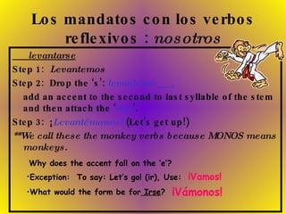 Los mandatos con los verbos reflexivos :  nosotros levantarse Step 1:  Levantemos Step 2:  Drop the ‘s’:  levantemo___, add an accent to the second to last syllable of the stem and then attach the ‘ nos ’. Step 3:  ¡ Levantémonos!  (Let’s get up!) **We call these the monkey verbs because MONOS means monkeys. Why does the accent fall on the ‘e’? Exception:  To say: Let’s go! (ir), Use:  ¡Vamos! What would the form be for  Irse ? ¡Vámonos! 