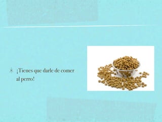 ¡Tienes que darle de comer
al perro!
 