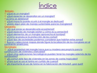 Índice
Biología:
☼ ¿Qué es un manglar?
☼ ¿Qué especies se desarrollan en un manglar?
☼¿Cómo se deteriora?
☼ ¿Qué impacto puede ocurrir si el mangle se destruye?
☼ ¿Existe algún plan de manejo sustentable para los manglares?
Geografía:
☼ ¿En qué zonas se desarrolla este ecosistema?
☼ ¿Qué especies de mangle existen y cómo es su zonación?
☼ ¿Qué elementos de un manglar aprovecha el hombre?
☼ ¿Cómo se produce la protección de las costas?
☼ ¿Qué tipo de sociedades podemos considerar que habitan estas zonas?
☼ Buscar y seleccionar mapas donde figure la localización de los manglares en el
continente americano.
Tecnología:
☼ ¿Qué propiedad del mangle hace que su madera sea propicia para la
construcción de viviendas y barcazas?
☼ ¿Qué otras aplicaciones tecnológicas pueden tener los mangles además de las
nombradas?
☼ ¿Es común este tipo de viviendas en las zonas de costas tropicales?
☼ ¿Para qué se usa el tanino en curtido de cueros?
☼ ¿Es importante el uso de tanino en la fabricación de tinturas?. ¿por qué?
 