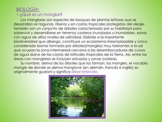 Los manglares son especies de bosques de plantas leñosas que se
desarrollan en lagunas, riberas y en costas tropicales protegidas del oleaje,
también son un conjunto de árboles caracterizado por su habilidad para
sobrevivir y desarrollarse en terrenos costeros inundados o inundables, zonas
con agua de altos niveles de salinidad. Debido a la importante
biodiversidad que alberga, constituye un ecosistema irreemplazable y único
considerado bioma formado por árboles(mangles) muy tolerantes a la sal
que ocupan la zona intermareal cercana a las desembocaduras de cursos
de agua dulce de las costas de latitudes tropicales de la Tierra. Así, entre las
áreas con manglares se incluyen estuarios y zonas costeras.
Su nombre, deriva de los árboles que los forman, los mangles, el vocablo
mangle de donde se deriva mangrove (en alemán, francés e inglés) es
originalmente guaraní y significa árbol retorcido.
BIOLOGÍA:
1-¿Qué es un manglar?
 