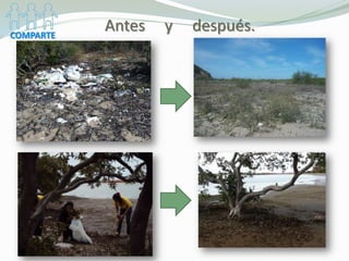 COMPARTE
           Antes   y   después.
 