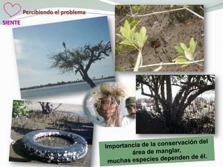 Percibiendo el problema
SIENTE
 