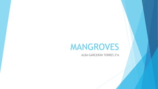 MANGROVES
ALBA GARCERÁN TORRES 2ºA
 