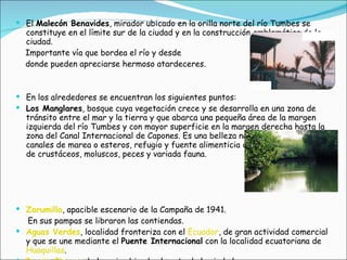 El  Malecón Benavides , mirador ubicado en la orilla norte del río Tumbes se constituye en el límite sur de la ciudad y en la construcción emblemática de la ciudad.  Importante vía que bordea el río y desde  donde pueden apreciarse hermoso atardeceres.  En los alrededores se encuentran los siguientes puntos: Los Manglares , bosque cuya vegetación crece y se desarrolla en una zona de tránsito entre el mar y la tierra y que abarca una pequeña área de la margen izquierda del río Tumbes y con mayor superficie en la margen derecha hasta la zona del Canal Internacional de Capones. Es una belleza natural, con laberintos, canales de marea o esteros, refugio y fuente alimenticia de numerosas especies de crustáceos, moluscos, peces y variada fauna.  Zarumilla , apacible escenario de la Campaña de 1941.  En sus pampas se libraron las contiendas.  Aguas Verdes , localidad fronteriza con el  Ecuador , de gran actividad comercial y que se une mediante el  Puente Internacional  con la localidad ecuatoriana de  Huaquillas .  Puerto Pizarro , balneario ubicado al norte de la ciudad.  