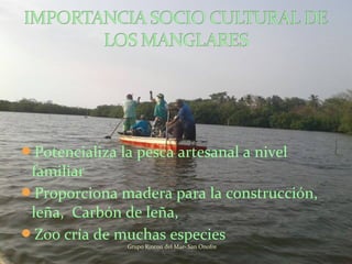 Potencializa la pesca artesanal a nivel
familiar
Proporciona madera para la construcción,
leña, Carbón de leña,
Zoo cría de muchas especies
Grupo Rincon del Mar- San Onofre
 