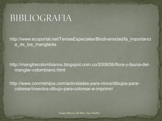 http://www.ecoportal.net/TemasEspeciales/Biodiversidad/la_importanci
a_de_los_manglares
http://manglrecolombianos.blogspot.com.co/2008/06/flora-y-fauna-del-
manglar-colombiano.html
http://www.conmishijos.com/actividades-para-ninos/dibujos-para-
colorear/insectos-dibujo-para-colorear-e-imprimir/
Grupo Rincon del Mar- San Onofre
 