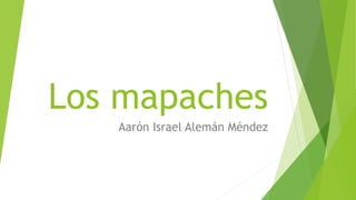 Los mapaches
Aarón Israel Alemán Méndez
 