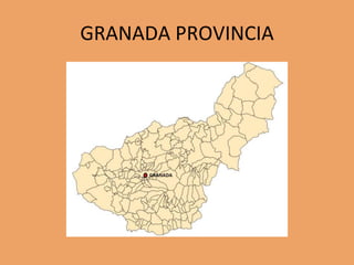GRANADA PROVINCIA
 