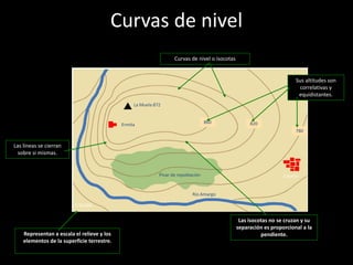 Curvas de nivel
Curvas de nivel o isocotas

Sus altitudes son 
correlativas y 
equidistantes.
La Muela 872

860

Ermita

820
780

Las líneas se cierran 
sobre si mismas.

Pinar de repoblación

Caserío

Río Amargo
1:50 000

Representan a escala el relieve y los 
elementos de la superficie terrestre.

Las isocotas no se cruzan y su 
separación es proporcional a la 
pendiente.

 