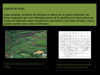 CURVAS DE NIVEL.
Línea compleja, resultante de intersecar el relieve por un plano horizontal. Son
líneas imaginarias que unen diferentes puntos de la superficie a la misma altura por
lo que son útiles para saber a la altitud en que estamos. Son líneas cerradas y nunca
pueden cortarse unas a otras ni bifurcarse.

Foto del terreno real a representar en un
mapa

Representación del terreno anterior
en un mapa con curvas de nivel

 