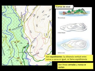 Curvas de nivel

Son equidistantes: La distancia vertical entre
curva y curva es igual, se llama equidistancia
Son líneas cerradas y nunca se
cortan

 
