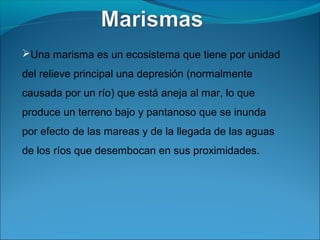 Una marisma es un ecosistema que tiene por unidad
del relieve principal una depresión (normalmente
causada por un río) que está aneja al mar, lo que
produce un terreno bajo y pantanoso que se inunda
por efecto de las mareas y de la llegada de las aguas
de los ríos que desembocan en sus proximidades.
 