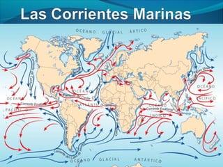 Los mares y océanos