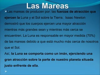 Las mareas de producen por: las fuerzas de atracción que
ejercen la Luna y el Sol sobre la Tierra. Isaac Newton
demostró que los cuerpos ejercen una mayor atracción
mientras más grandes sean y mientras más cerca se
encuentren. La Luna es responsable en mayor medida (70%)
de las mareas debido a que está mucho más cerca de nosotros
que el Sol.
Así, la Luna se comporta como un imán, ejerciendo una
gran atracción sobre la parte de nuestro planeta situada
justo enfrente de ella.

 