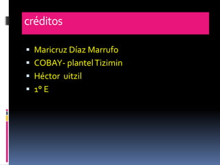 créditos

 Maricruz Díaz Marrufo
 COBAY- plantel Tizimin
 Héctor uitzil
 1° E
 