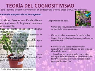 Teoría del CognositivismoEsta Teoría la podemos evidenciar en el desarrollo de una clase de CCNN. Ejemplo:Procesos de transpiración de los vegetales.Actividades. Colocar una  Funda plástica sobre una rama de la planta , atándola con una cuerda.Ubicar la planta en el Sol y dejarla durante 3 días.Revisar la funda cada día y observar lo que sucede en su interior.El alumno observa gran cantidad de agua dentro de la funda.Los niños concluyen que el agua sale a través de la hojas de la plantaEntonces los niños con este redescubrimiento logran el Aprendizaje significativo deseado.Importancia del aguaCortar una flor, sacarle las hojas y dejarla que se marchite por una semana.