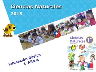 Ciencias NaturalesCiencias Naturales
2015
Educación Básica
1°Año A
 