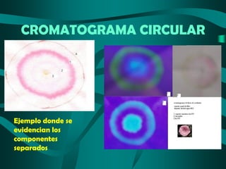 CROMATOGRAMA CIRCULAR

Ejemplo donde se
evidencian los
componentes
separados

 