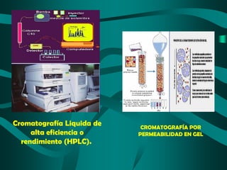 Cromatografía Liquida de
alta eficiencia o
rendimiento (HPLC).

CROMATOGRAFÍA POR
PERMEABILIDAD EN GEL

 