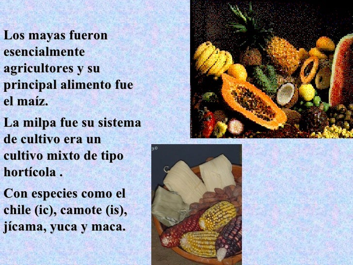 Los Mayas