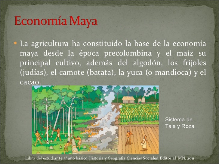 Actividades Economicas De Los Mayas