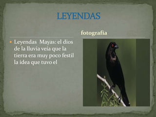  Leyendas Mayas: el dios
de la lluvia veía que la
tierra era muy poco festil
la idea que tuvo el
fotografía
 