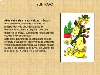 YUN KAAX



(dios del maíz y la agricultura).- Era un
dios benévolo, asociado a la vida, la
prosperidad y la abundancia. Se lo
representaba como a un joven con una
mazorca de maíz , cubierta de hojas sobre la
cabeza muy deformada.
Este dios, patrono de la agricultura estaba
siempre ocupado en gran variedad de tareas
y tenía muchos enemigos. Su destino estaba
sujeto a los dioses de la lluvia, del viento, de
la sequía, del hambre y de la muerte.
 