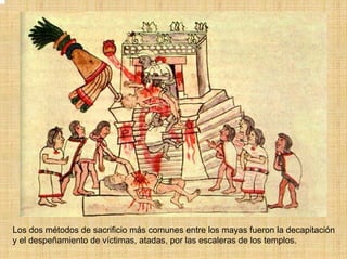 Los dos métodos de sacrificio más comunes entre los mayas fueron la decapitación
y el despeñamiento de víctimas, atadas, por las escaleras de los templos.
 