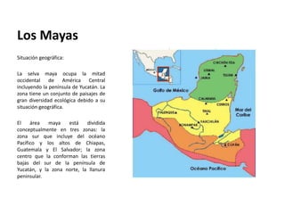 Los Mayas Situación geográfica: La selva maya ocupa la mitad occidental de América Central incluyendo la península de Yucatán. La zona tiene un conjunto de paisajes de gran diversidad ecológica debido a su situación geográfica. El área maya está dividida conceptualmente en tres zonas: la zona sur que incluye del océano Pacífico y los altos de Chiapas, Guatemala y El Salvador; la zona centro que la conforman las tierras bajas del sur de la península de Yucatán, y la zona norte, la llanura peninsular. 