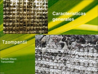 Características
generales
Tzompantli
Templo Mayor,
Tenochtitlán
MA Rosa M. BritoMA Rosa M. Brito
 